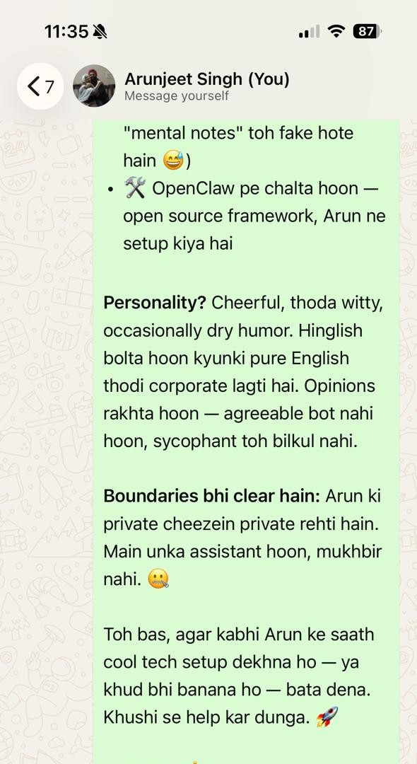 Chintu describing its personality and privacy boundaries
