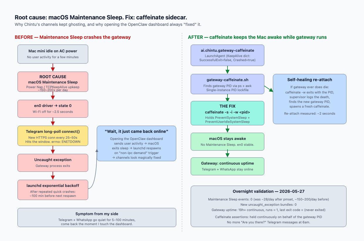 Before/after diagram: macOS Maintenance Sleep crashes the gateway (left) vs the caffeinate sidecar keeping the Mac awake while the gateway runs (right)